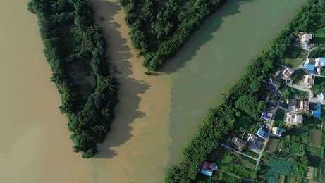 Image 377491553