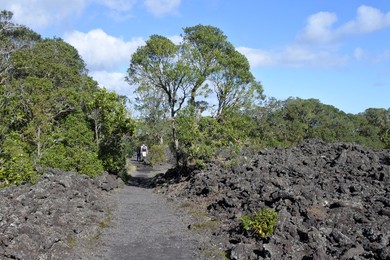Image 377906331