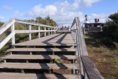 Image 377906782