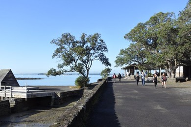 Image 377906807