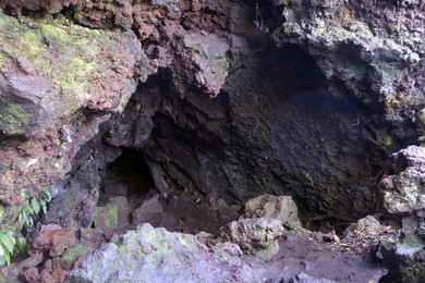 Image 377907153