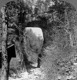 One of nature's curious structures