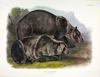 Image 381191923