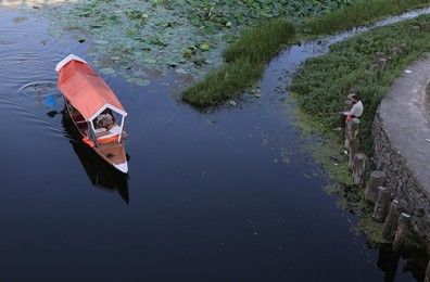 Image 382071138