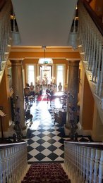 Image 382421892