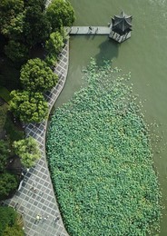 Image 382490216