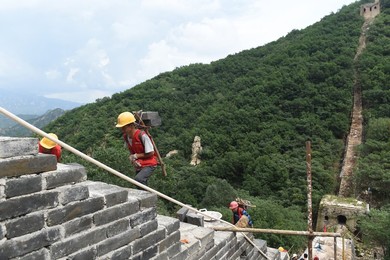 Image 384079392