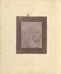 Image 387801243