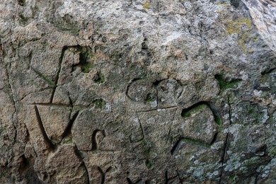 Image 388203195