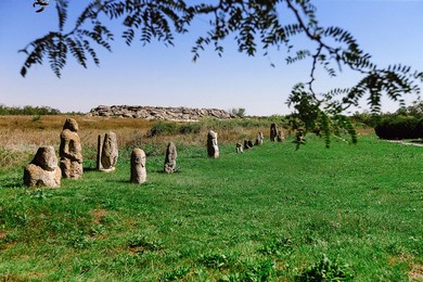 Image 388203196
