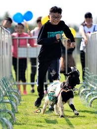 Image 390139303