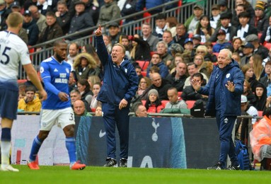 (SP)BRITAIN-LONDON-FOOTBALL-TOTTENHAM HOTSPUR VS CARDIFF CITY （体育）（1）足球——英超：热刺胜加的夫城