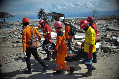 Image 390251781