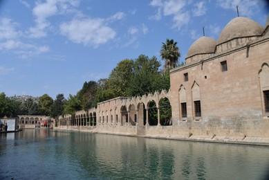 Image 390946514