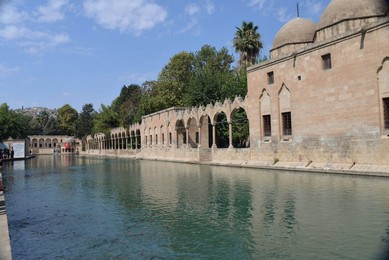 Image 390946518