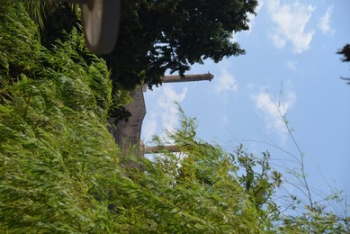 Image 390946646