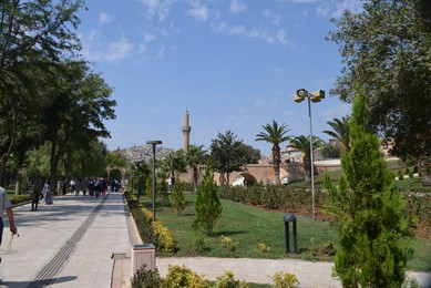 Image 390946650