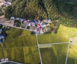 Image 391517515