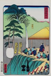 Image 391569313