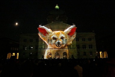 Image 391864121