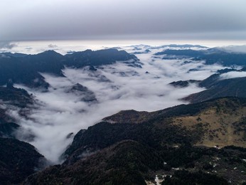 Image 391947942