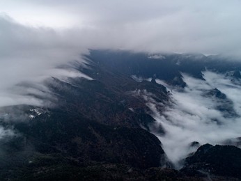 Image 391947944