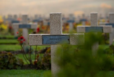 Image 395156987