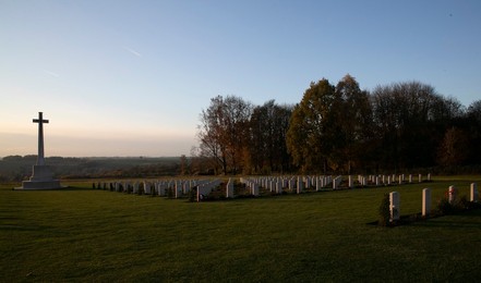 Image 395156992