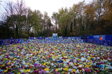 Image 395382755