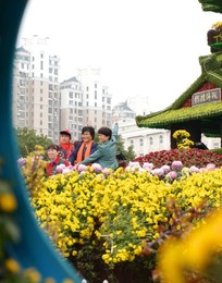 Image 395651220