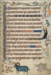Image 399909309