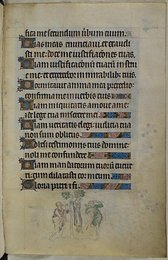 Image 399911021