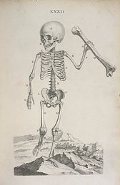 Image 399916988