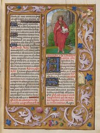Image 399921769