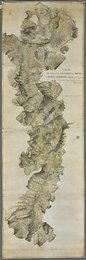 Image 399936549