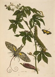 Image 399942501