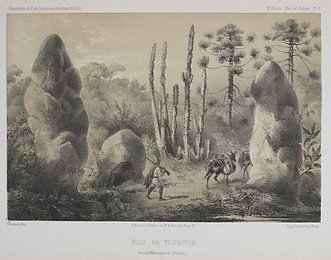 Image 399956885