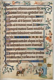 Image 399959368