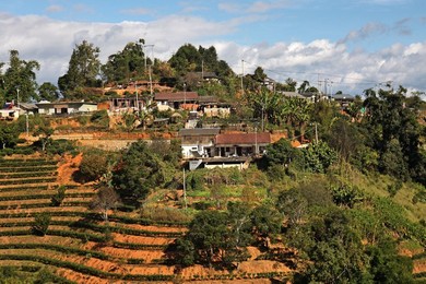 Image 400909968