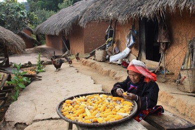 Image 400911211