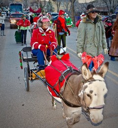 Image 401530188