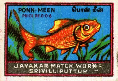 Image 404393336