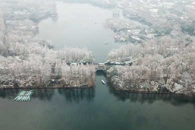 Image 404831029