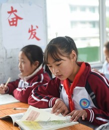 Image 404906457