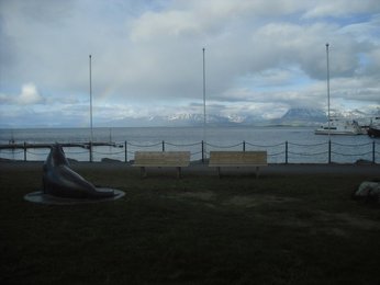 Image 405020027