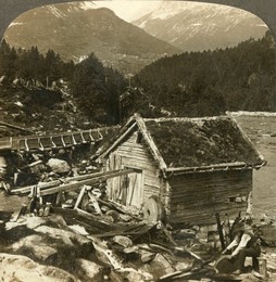 Image 405831245