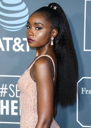 24th Annual Critics' Choice Awards
