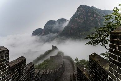 Image 410313451
