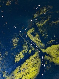 Image 410862584