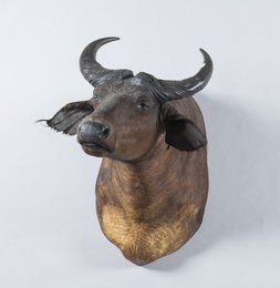 Image 411279401